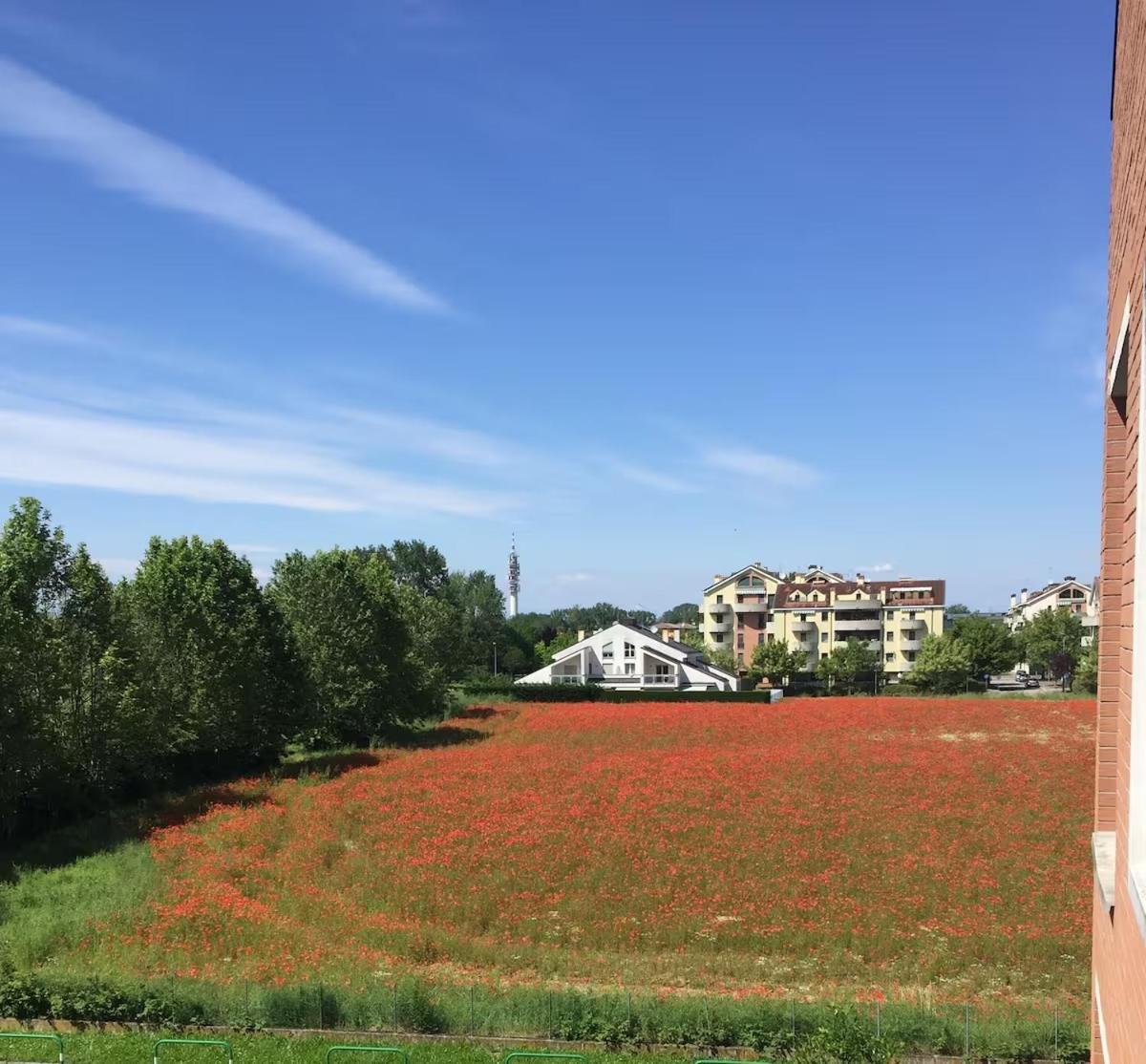 Homestay Stanza Con Bagno Privato